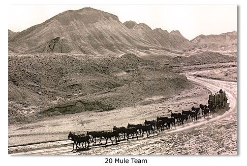 Bruger til 20 Mule Team Borax