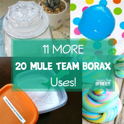 Usos para 20 Mule Team Borax