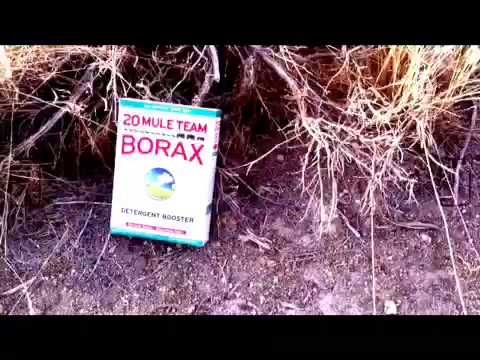 Lietojumi 20 Mule Team Borax