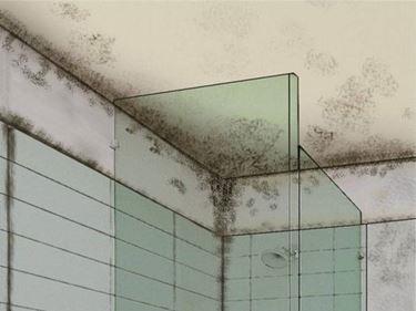 Come sbarazzarsi di muffa su un soffitto di gesso sopra una doccia