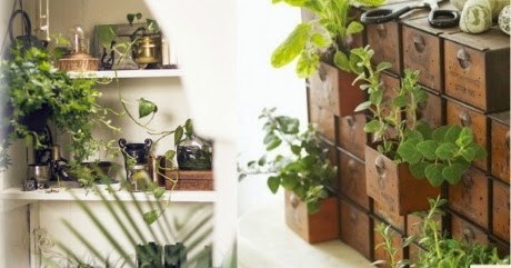 Naturlige måter å tilsette oksygen i luften i hjemmet ditt