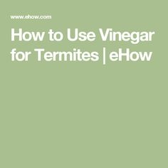 Jak používat ocet pro termity