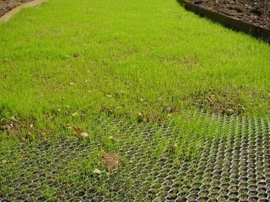 كيفية صب الخرسانة على العشب