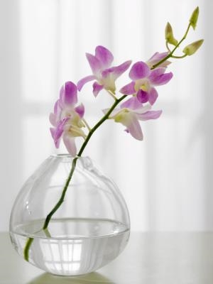 花瓶からアクリル水を除去する方法