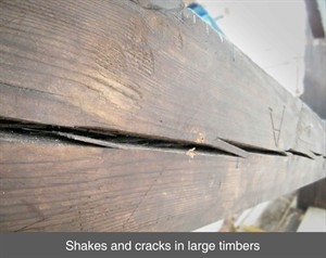 デッキの木材のひび割れを修復する方法