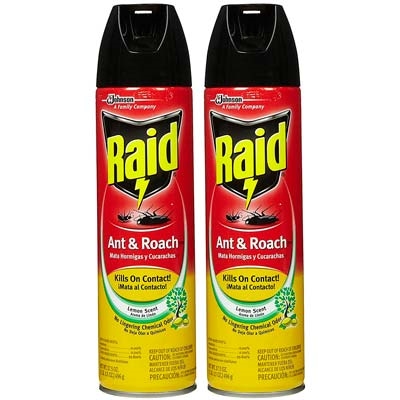 Efek Menghirup Raid Ant & Roach Spray