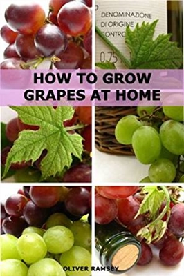 Cómo cultivar uvas a partir de semillas