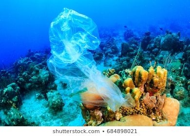 Ulemperne ved kunstige korallrev