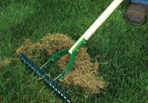 Est-ce que j'utilise un rouleau sur ma pelouse avant ou après la semence de gazon?