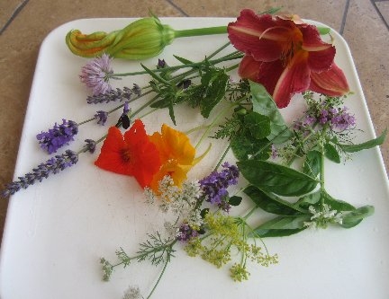 Što učiniti sa svježim rezanim cvjetovima lavande
