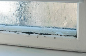 Comment nettoyer les moisissures autour des joints de fenêtre