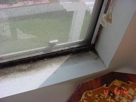 कैसे खिड़की सील के आसपास से साफ करने के लिए