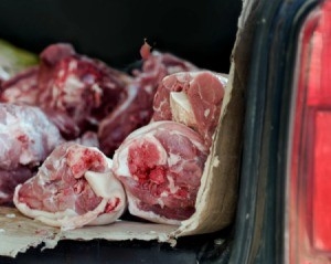 Jak pozbyć się zgniłego zapachu mięsa