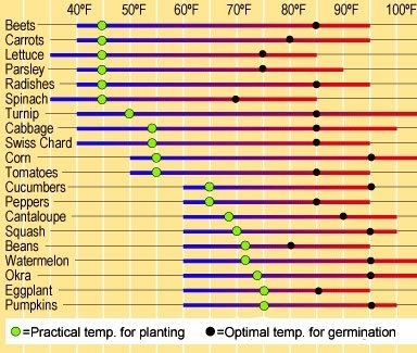 Žolių sėklos sodinimo temperatūra
