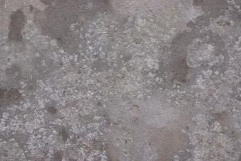 Мой новый бетон имеет белые пятна на нем