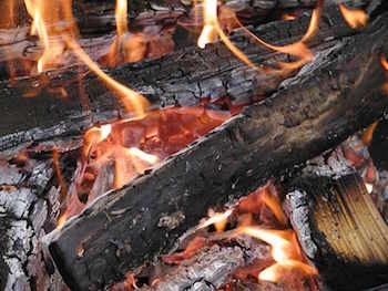 ¿Se puede quemar madera de sebo en una chimenea?