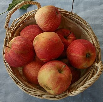 Características de los manzanos