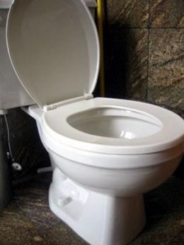 Cara Menghapus Toilet dengan Menggunakan Fajar