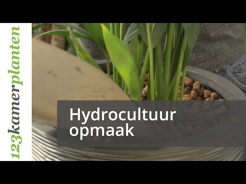Hoe maak je een hydrocultuur voedingsoplossing met behulp van Epsom Salt
