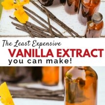 Cara Membuat Penolak Serangga Dengan Ekstrak Vanilla