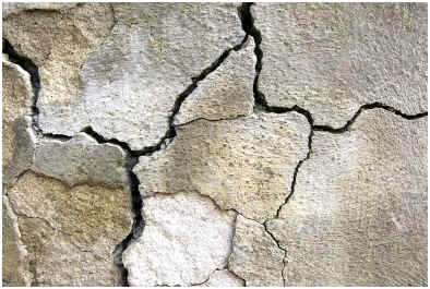 ¿Puede el moho crecer en el concreto?