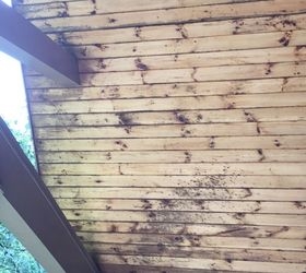 Hvordan rengjøre mold fra et veranda tak
