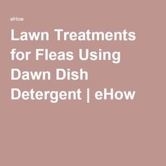 Traitements de la pelouse pour les puces à l'aide du détergent Dawn Dish