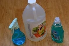 Tratamente de gazon pentru purici cu detergent de vase Dawn