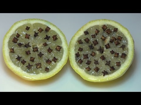 Le citron est-il un insectifuge?