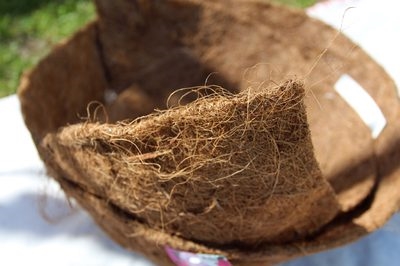 Apa yang harus dilakukan dengan tanah pot kering?