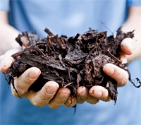 乾燥ポッティング土壌で何をしますか？