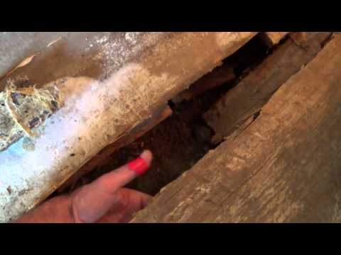 Как убрать деревянные полы с черных полос между деревянными стыками