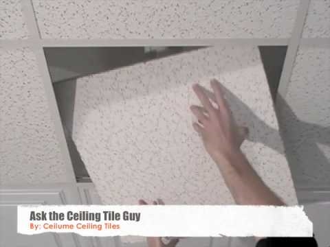 ¿Se puede pintar baldosas de techo?