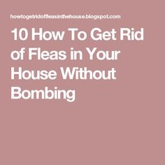 बमबारी के बिना fleas से छुटकारा पाने के लिए कैसे