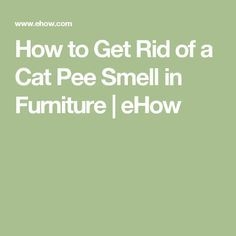 Kako se znebiti miši z mačjim urinom