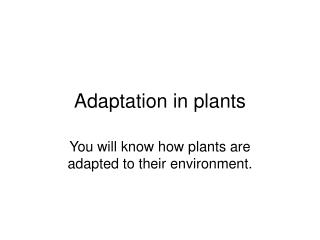 Как се адаптират растенията за запазване на водата?