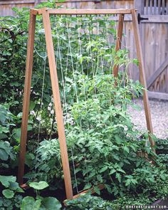 Como cultivar legumes em recipientes Rubbermaid