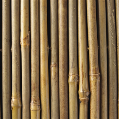 Cómo cortar postes de bambú