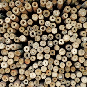 Како резати ступове од бамбуса