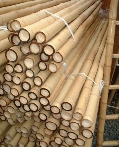 Bambu Direkleri Nasıl Kesilir