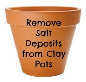 Como remover depósitos de sal