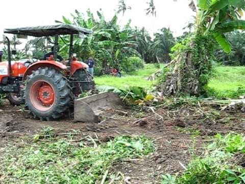 Kaip išvalyti žemę ūkininkavimui