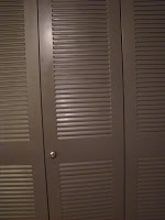 Glezno metāla skapja durvis