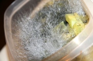 Comment nettoyer les moisissures des contenants en plastique