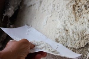 Comment nettoyer la moisissure et la moisissure sur les murs peints