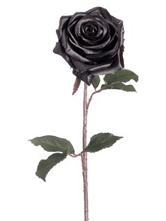 Как да си направим черни рози