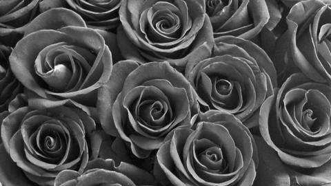 Hogyan készítsünk fekete rózsákat