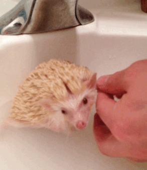 Kuinka puhdistaa kylpyharja