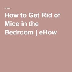 Πώς να απαλλαγείτε από τα ποντίκια στην κρεβατοκάμαρα