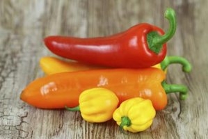 Ako sušiť rastliny papriky